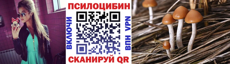 Галлюциногенные грибы ЛСД  где купить наркотик  kraken маркетплейс  Волжский 